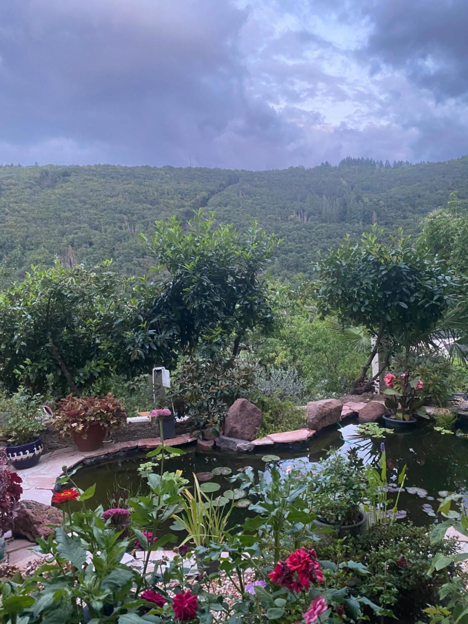 Pension Mit Moselblick Klotten Dış mekan fotoğraf