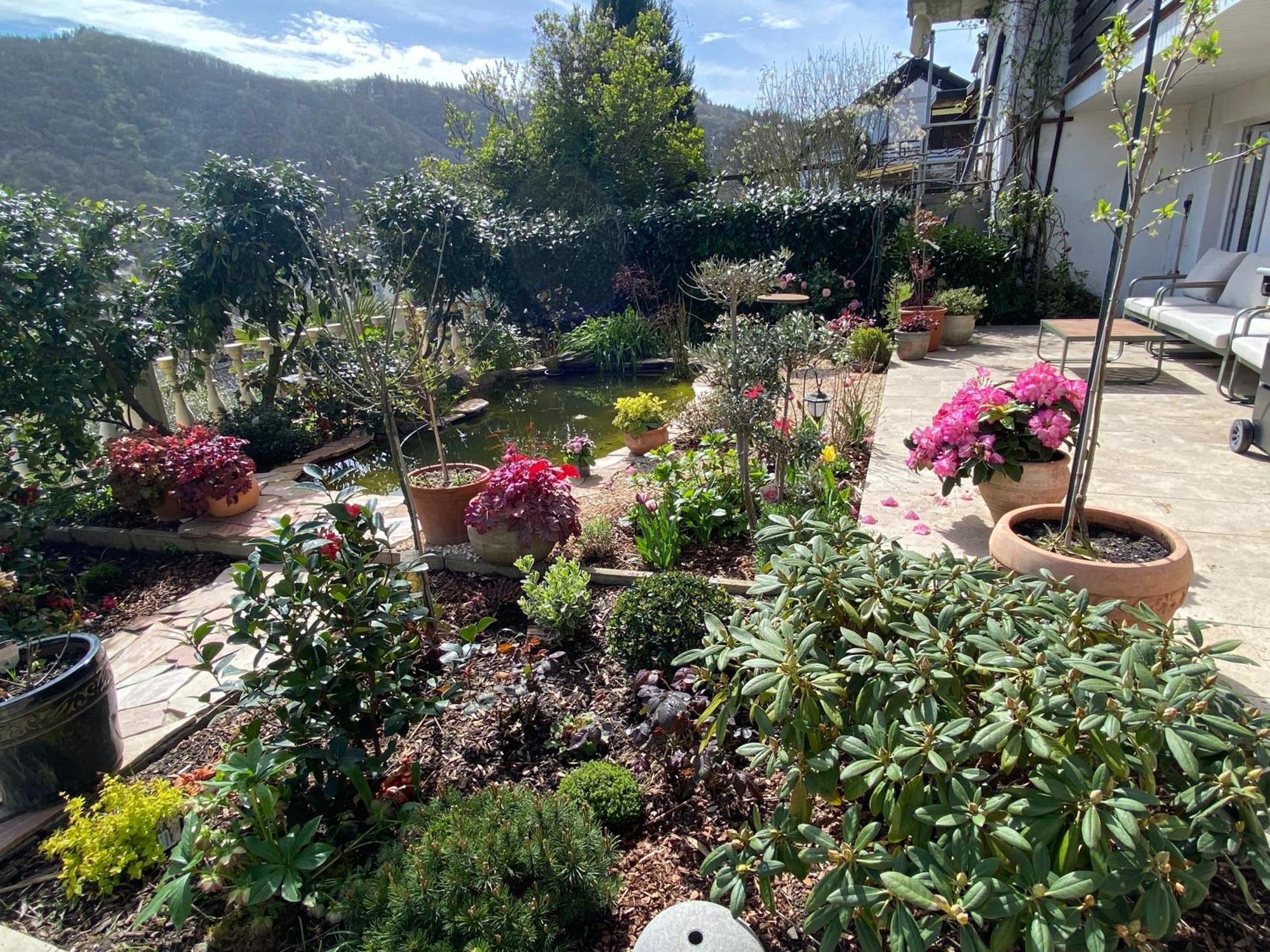 Pension Mit Moselblick Klotten Dış mekan fotoğraf
